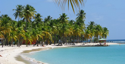 Guadeloupe : Club Med rouvre la Caravelle (reportage)