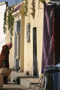 En direct de la Tunisie avec Rêvatours