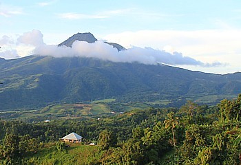 Le volcan de la Montagne Pelée domine la partie nord de l'ïle.