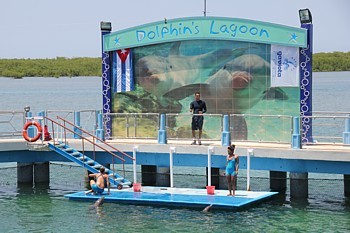 L'entrée au Delphinarium permet d'assister aux spectacles quotidiens (de dauphins et d'otaries)