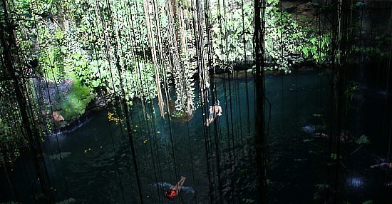 La pénisule du Yucatan compte également plusieurs "cenotes" (grottes naturelles), dans lesquels on peut aller nager.