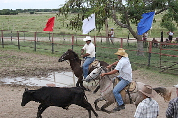 Au Ranch King