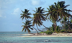 Faune marine, attractions culturelles et spas intimes pour la relâche scolaire en République dominicaine