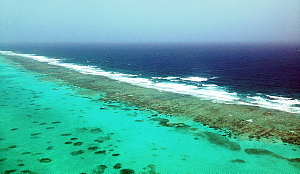 La barrière de Corail. (cr.Photo Sophie Jacques)