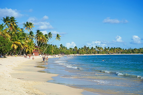 Partez en Martinique cet hiver : Le Carnaval, une tradition populaire aux mille couleurs!