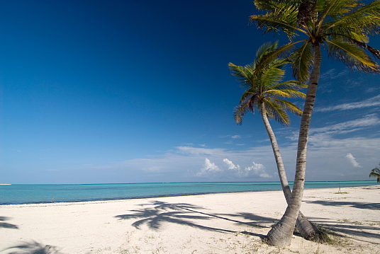 Un décembre inoubliable pour Vacances Sunwing 