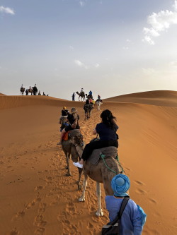 Transat fait découvrir son offre exclusive au Maroc à 26 conseillères et conseillers du Québec