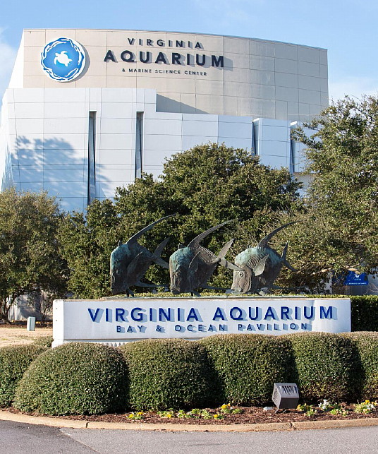 Le Virginia Aquarium & Marine Science Center. Photo: Sarah Ann Atkins