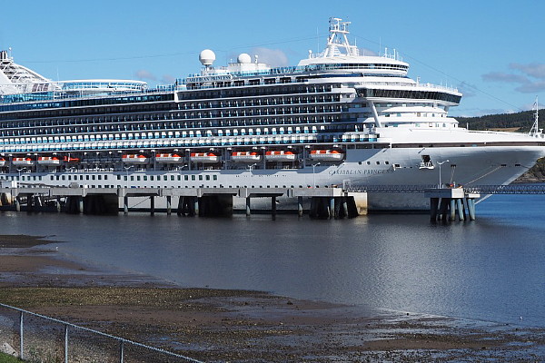 Les agences Vasco orchestrent un événement 'mariage et croisière' au Saguenay