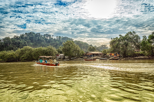 Borneo Bako national park (Contiki)